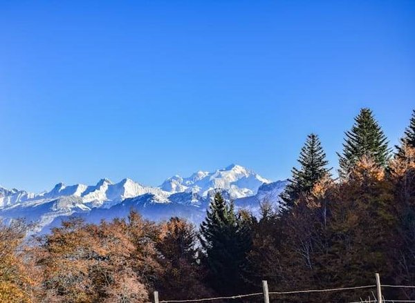 Votre Guide Ultime pour Choisir un Camping 4 Étoiles en Haute-Savoie