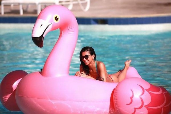 Découvrez les meilleurs campings avec piscine chauffée en Ardèche pour des vacances inoubliables