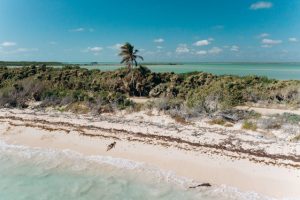 Un camping 4 étoiles sur l'île de Ré avec piscine couverte, pour profiter du confort en toute saison